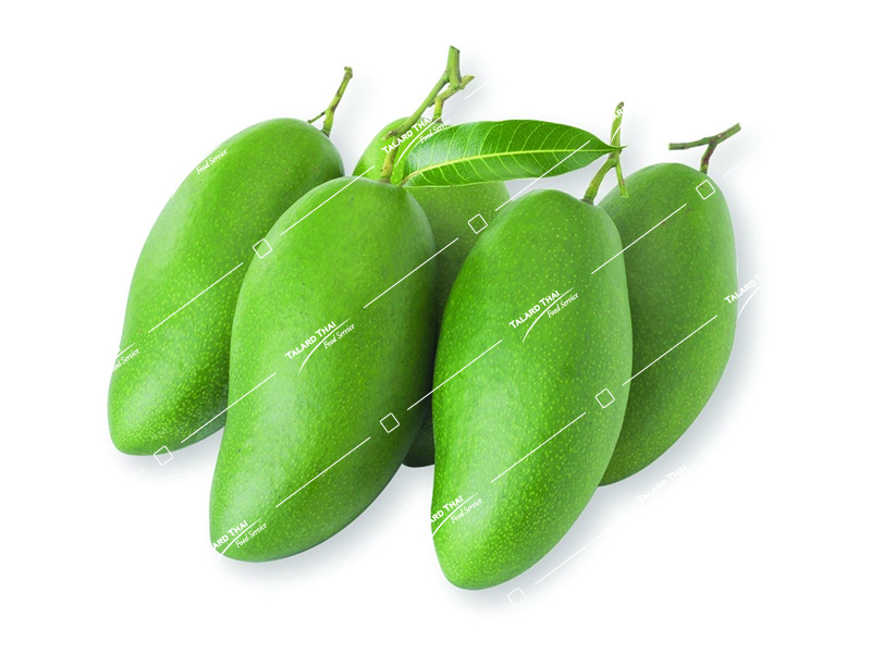 FR008 FR008