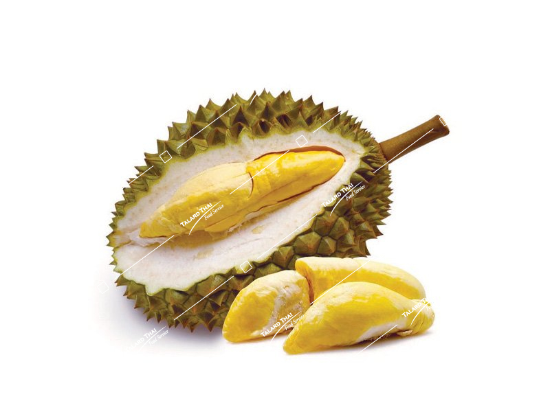 FR023 FR023