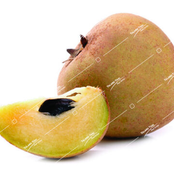 Lamut (Sapodilla) – Sweet tropical fruit with soft texture, ideal for desserts and smoothies.