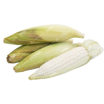 Sweet Sticky Thai Corn – Traditional Thai corn with natural sweetness and sticky texture.