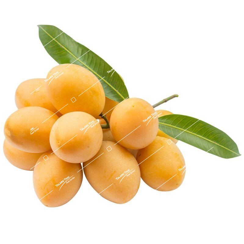 FR033 FR033