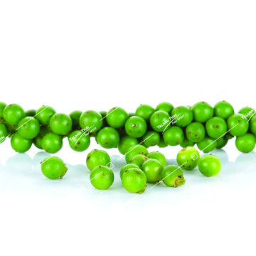Fresh Thai peppercorn (Prik Thai Sot) – aromatic and spicy ingredient for authentic Thai cooking.