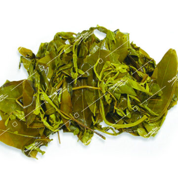 CASSIA BOILED (KEE LEK TOM)