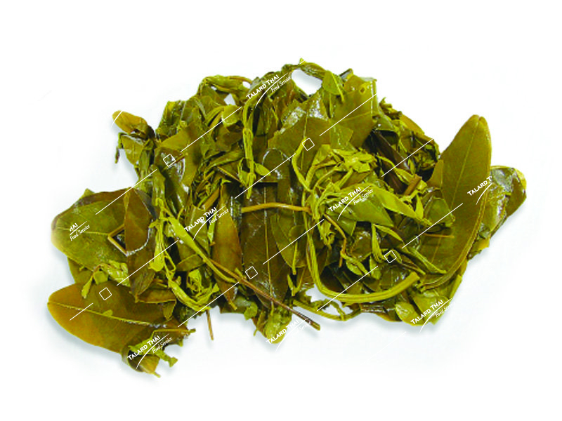 CASSIA BOILED (KEE LEK TOM)