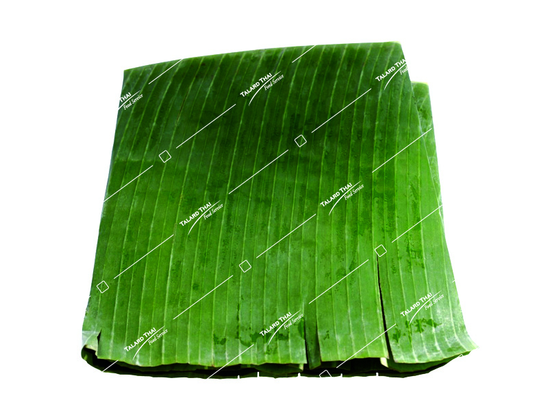 VE010 VE010