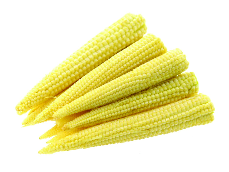 VE011 VE011