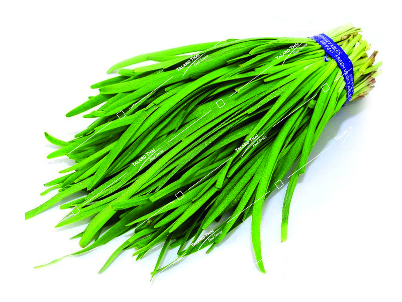VE012 VE012