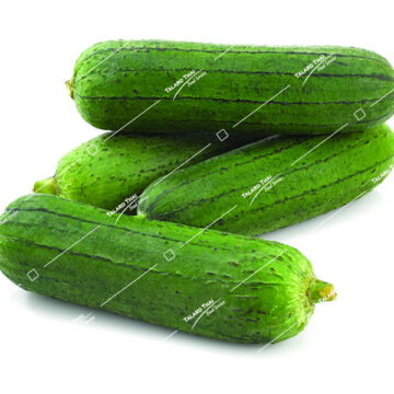Buab Klom (Round Luffa) – Fresh Thai vegetable, great for soups, stir-fries, and curries.