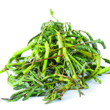 Fresh water mimosa (Pak Kar Ched) – crunchy and flavorful vegetable, perfect for Thai stir-fries and soups.