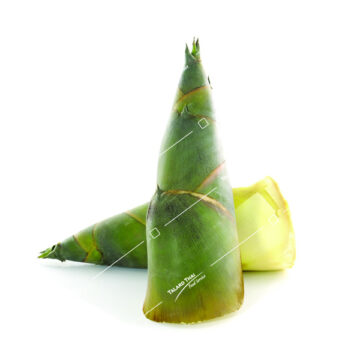 Normai Pai Tong Bamboo Shoot Small – A fresh and crisp bamboo shoot, ideal for enhancing the taste and texture of Thai and Southeast Asian cuisine.