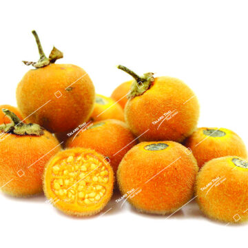 Look Maauk Salanaceae - Fresh Thai ingredient for your cooking, ideal for authentic Thai dishes.