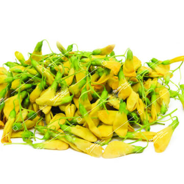 Fresh Sasbania Flowers (Dok Sa Noh) – a delicate ingredient for Thai soups and curries.