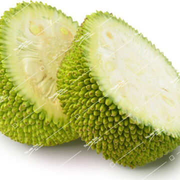 Kanon On Young Jack Fruit - Fresh Thai ingredient for authentic Thai dishes.