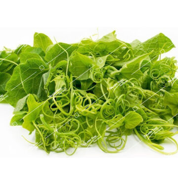 Pak Maew Chayote Shoot – Fresh and nutritious chayote shoots, perfect for stir-fries, soups, and salads.