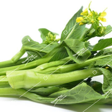 Fresh Chinese cabbage (Pak Kwang Tung) – crisp and nutritious, ideal for Thai and Asian dishes.