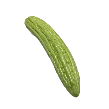 BITTER MELON (MARA JEAN)